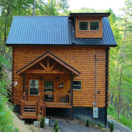 فيلا Hawks Nest Mountain Cabin سيفيرفيل المظهر الخارجي الصورة