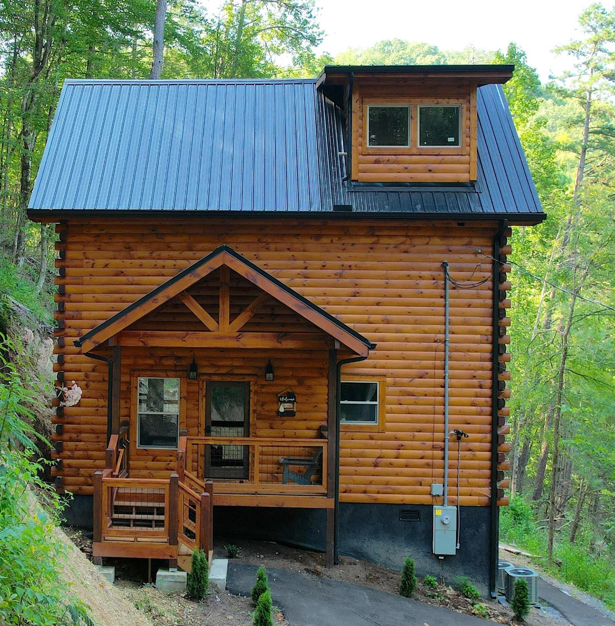 فيلا Hawks Nest Mountain Cabin سيفيرفيل المظهر الخارجي الصورة